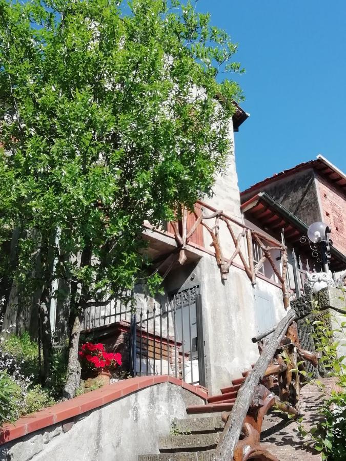 Appartement Collodi Castle FairyHouse Extérieur photo